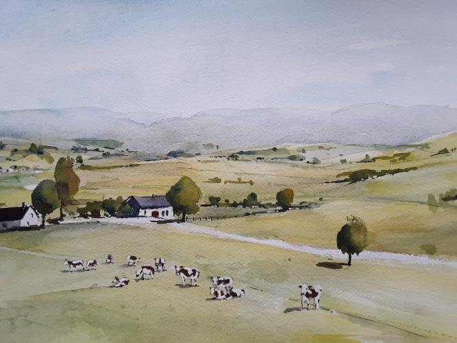 Paysages